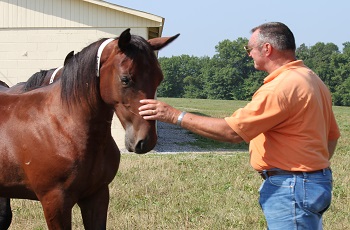 Yearling